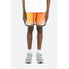 mnml Mens Mnml Gradient Basketball Shorts(Multi)